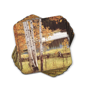 Pimpernel Coaster Set of 6, Birch Beauty