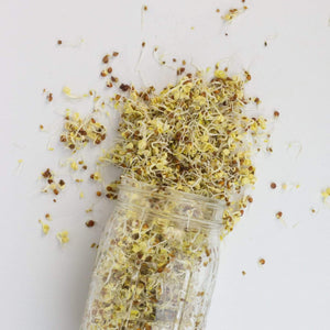 Cultures for Health Sprouting Seed Blend, Deli Sandwich