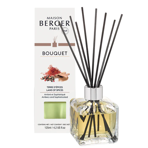 Maison Berger Pre-filled Cube Reed Diffuser, Land of Spices 125 ml (4.2 oz)