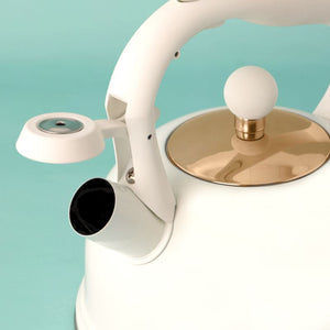 Typhoon OTTO Whistling Kettle, White