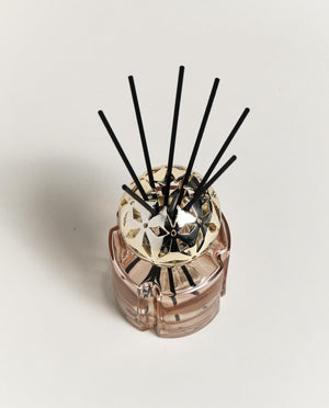 Maison Berger Reed Diffuser Set, Pomelis Nude