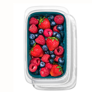 OXO PREP & GO Container with Colander