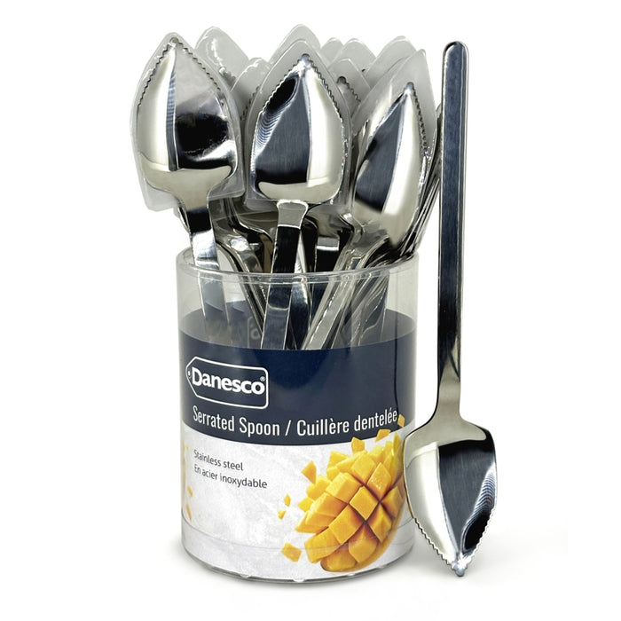 Danesco Stainless Steel Serrated Spoon