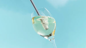Airtender Wine Lovers Set