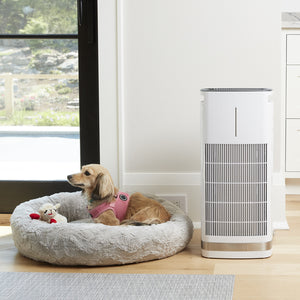 Cuisinart PuRXium Freestanding Air Purifier