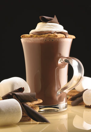 Gourmet Village Hot Chocolate Drink Mix, S'mores