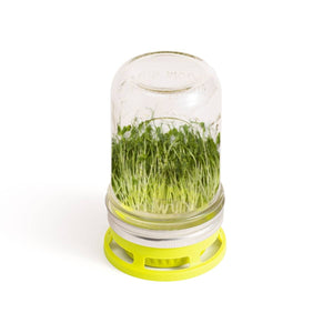 Jarware Seed Sprouter Jar Attachment