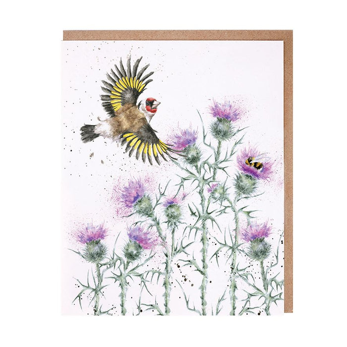 Wrendale Designs Greeting Card, 'Feathers & Thistles' Gold Finch