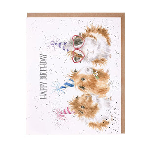 Wrendale Designs Greeting Card, Birthday 'Celebrate in Style' Guinea Pig