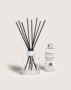 Maison Berger Reed Diffuser Set with Refill, Velvet of Orient