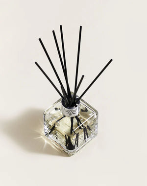 Maison Berger Reed Diffuser Set with Refill, Orange Cinnamon
