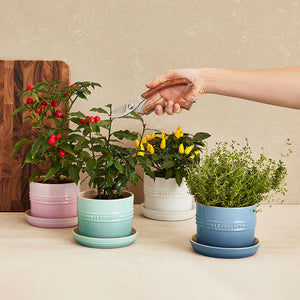 Le Creuset Herb Planter 14cm, Sage