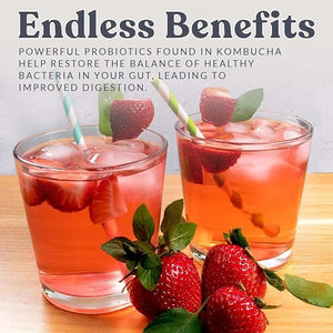 Cultures for Health Kombucha Starter Kit
