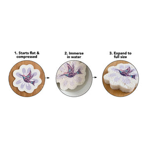 Native Northwest Eco Sponge, Hummingbird