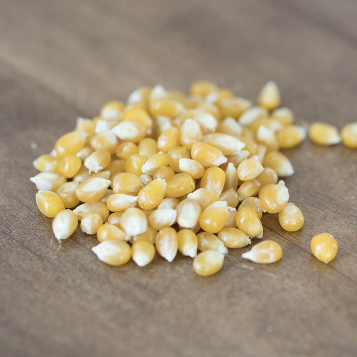 Amish Country Popcorn Individual Bag 4 oz, Medium Yellow