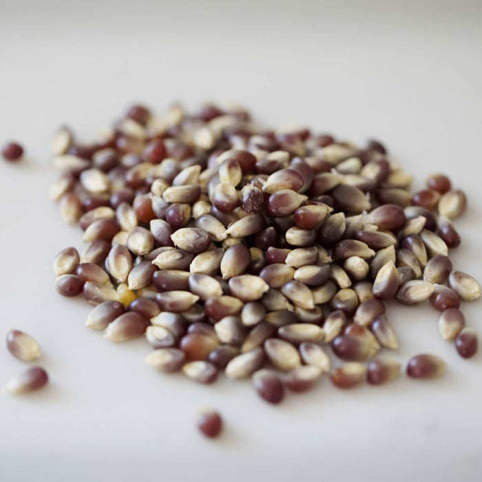 Amish Country Popcorn Individual Bag 4 oz, Purple