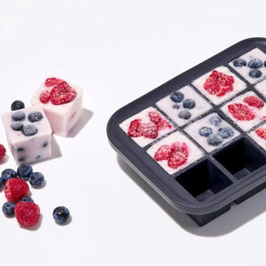 W&P PEAK Everyday Ice Cube Tray