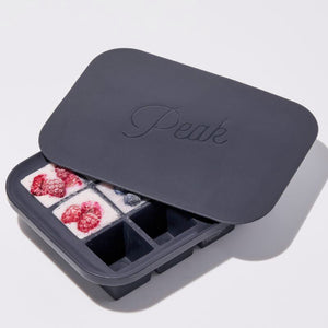 W&P PEAK Everyday Ice Cube Tray