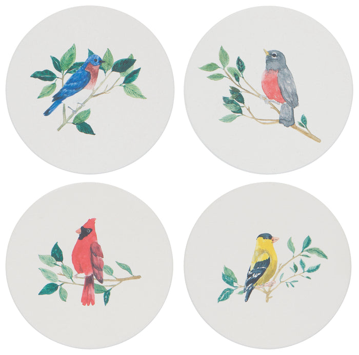Danica Now Designs Soak Up Coasters Set of 4, Birdsong