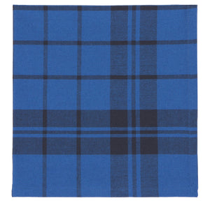 Danica Now Designs Second Spin Cloth Napkins Set of 4, Plaid Indigo