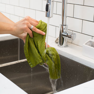 Danica Now Designs Ripple Dishcloth Set of 2, Cactus Green