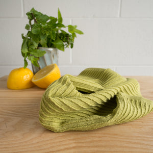 Danica Now Designs Ripple Dishcloth Set of 2, Cactus Green