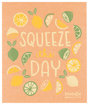 Danica Ecologie Swedish Dishcloth, Squeeze the Day