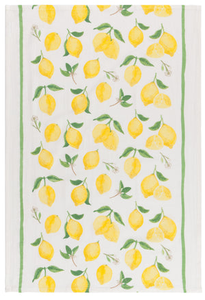 Danica Now Designs Flour Sack Tea Towel Set of 3, Fruit Salad