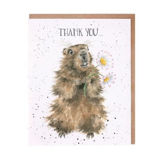 Wrendale Designs Greeting Card, 'Thank You' Marmot