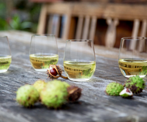 Riedel "O" Wine Tumbler Viognier-Chardonnay Wine Glass