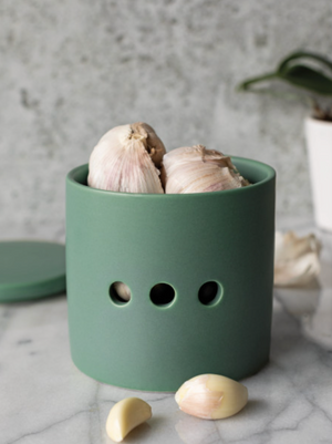 Danica Now Designs Garlic Keeper, Matte Elm Green