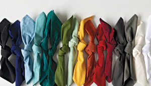 Danica Now Designs Spectrum Cloth Napkins Set of 4, Cobblestone Grey