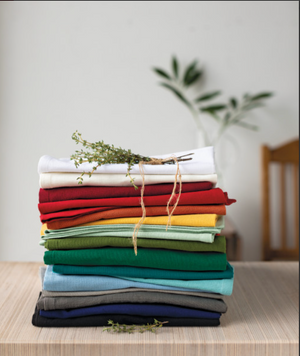 Danica Now Designs Spectrum Cloth Napkins Set of 4, Indigo Blue