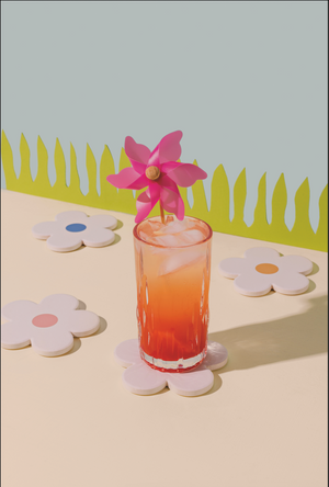 Danica Jubilee Soak Up Coasters Set of 4, Daisy