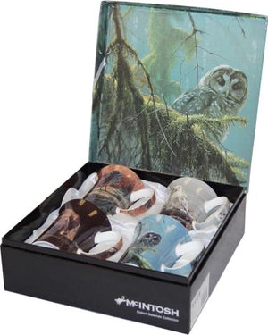 McIntosh Mug Set of 4, Bateman Owls